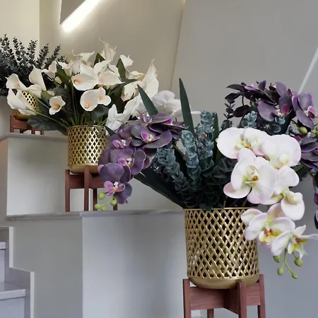 Adas Terra - Boutique In Ano Poli Apartment *