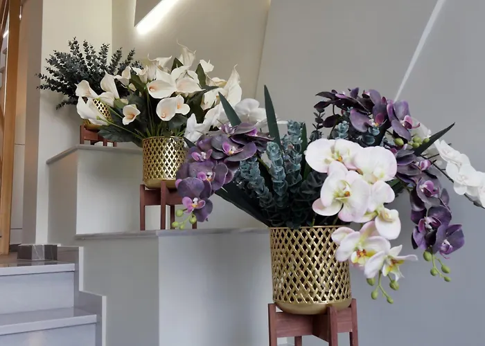 Adas Terra - Boutique In Ano Poli Apartamento *